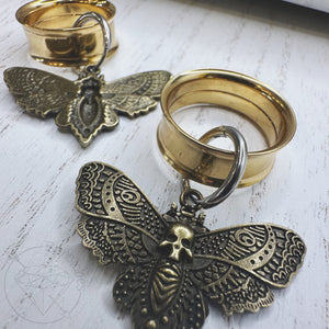 Antique gold moth clicker earrings