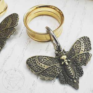 Antique gold moth clicker earrings